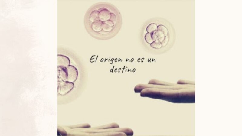 El origen no es destino